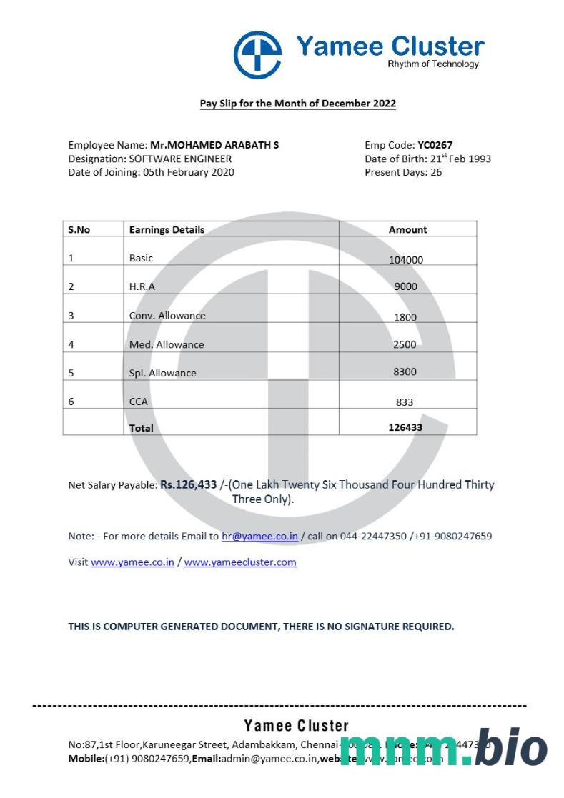 Szablon payslip firmy Yamee Cluster software w formatach Word i PDF, 2
